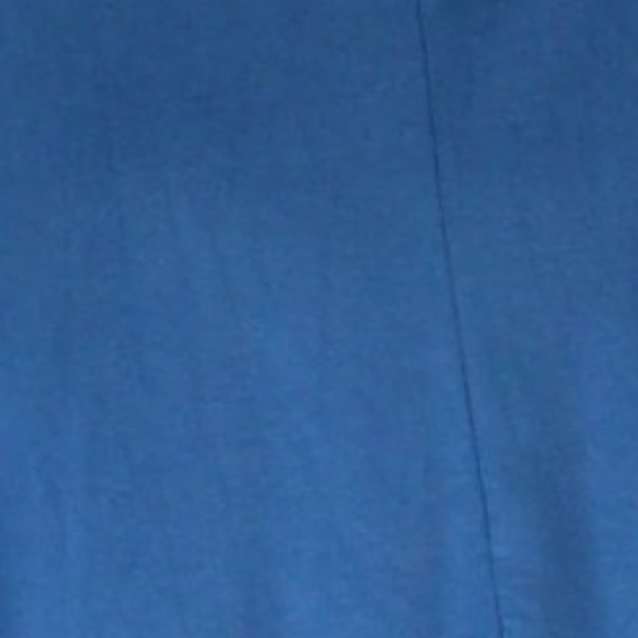 Cherry Blossom Seraphina Tunic
