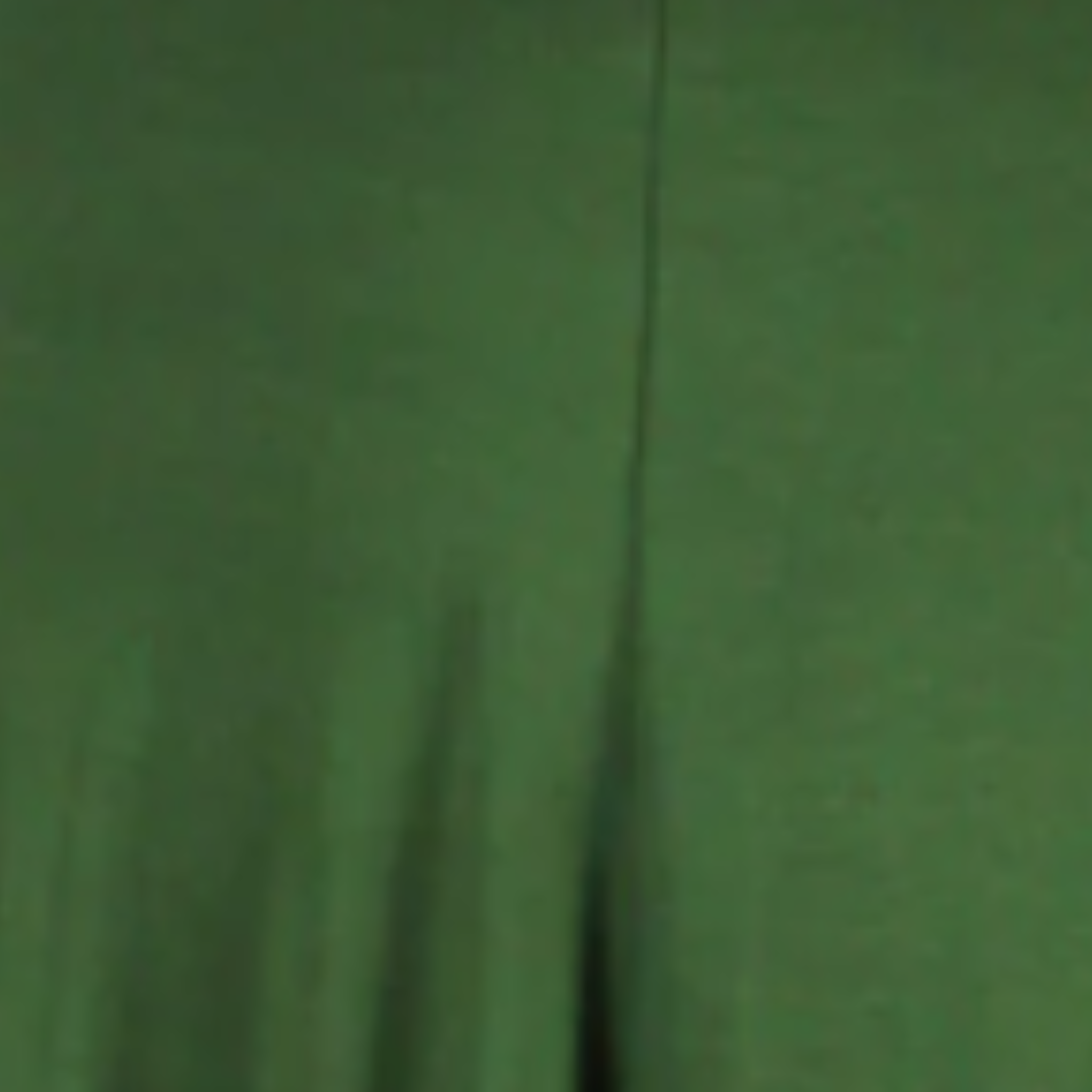 Dandelion Seraphina Tunic