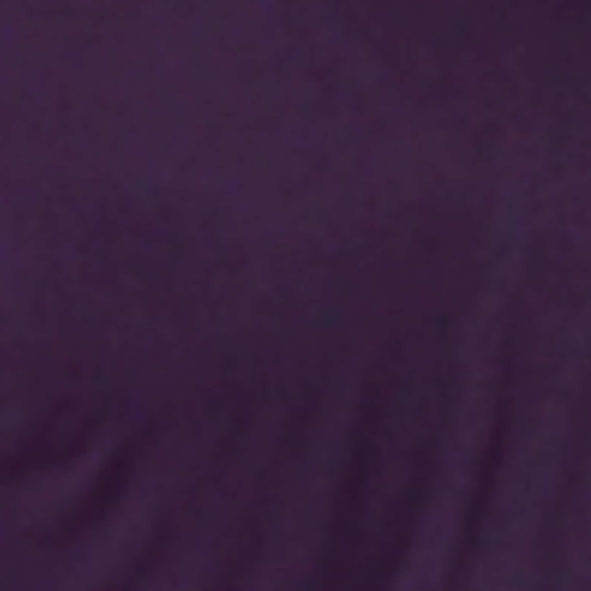 Raven Seraphina Tunic
