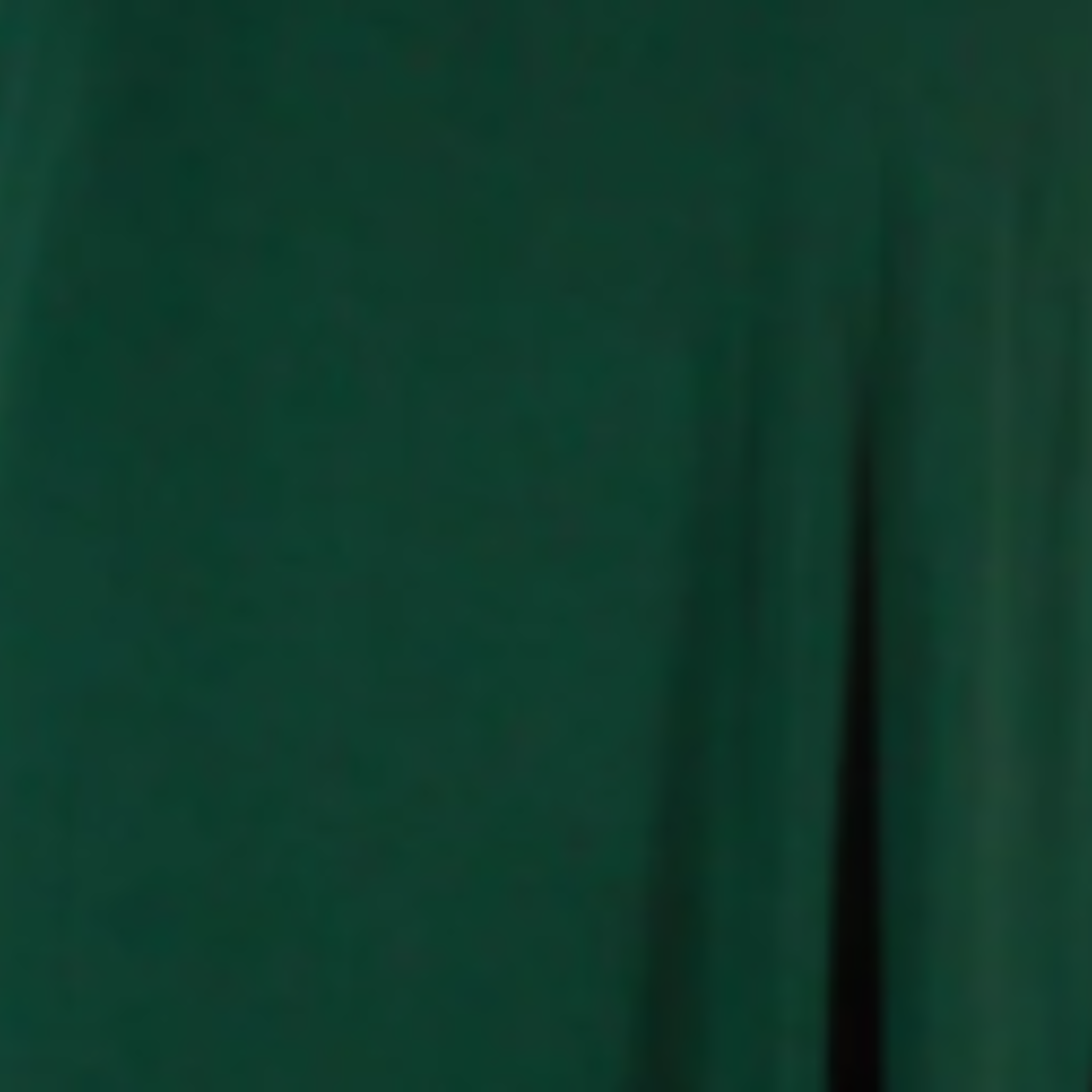 Chandra Wrap Cardigan
