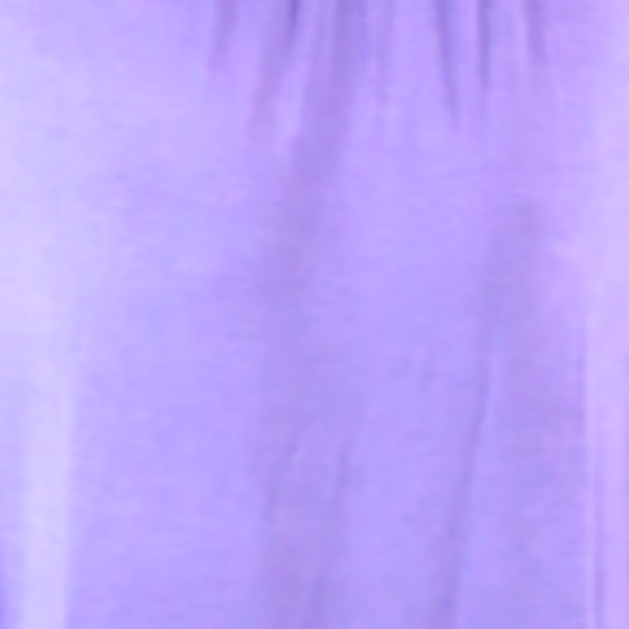 Zephyr Top