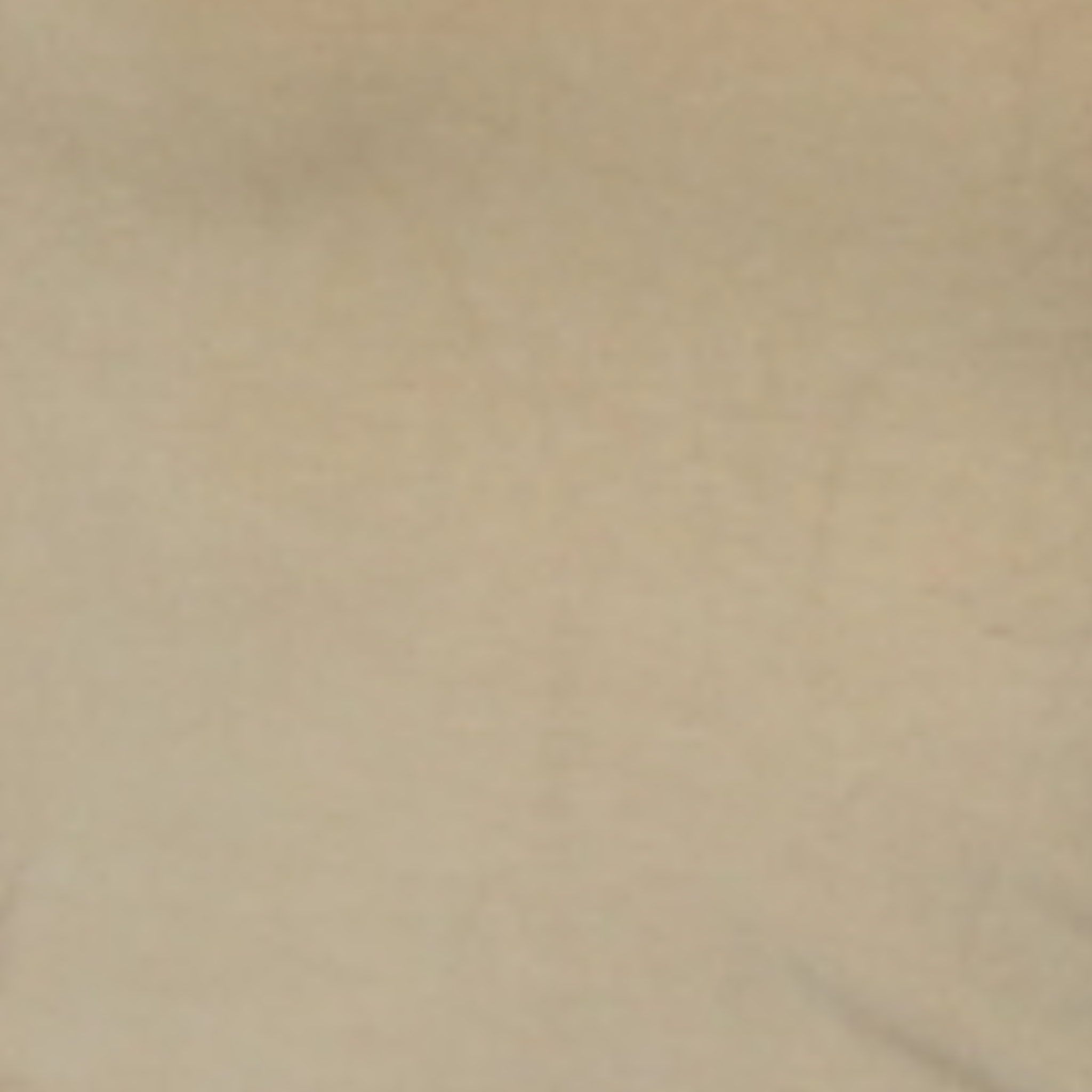 Preeda Pants