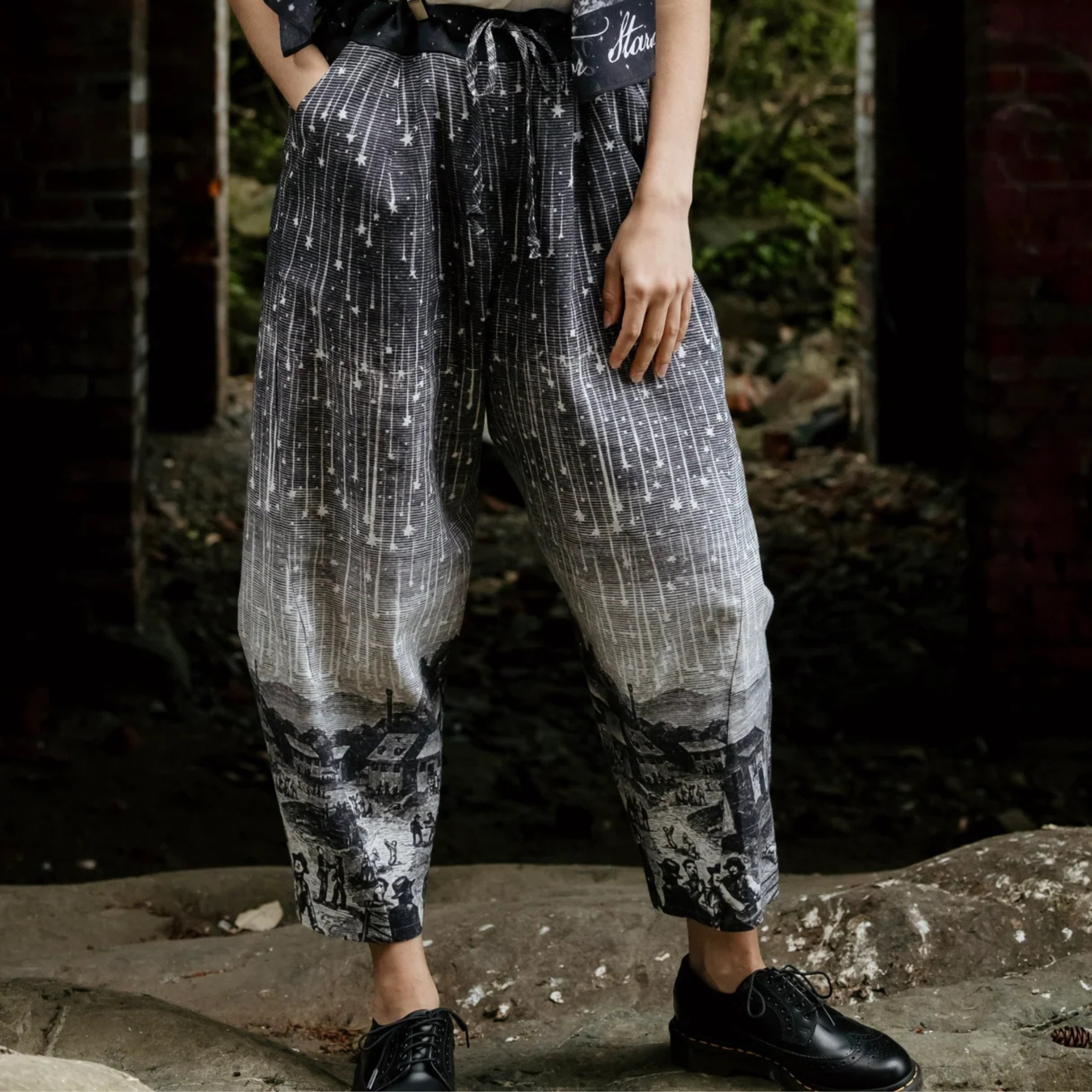 Stargazer Artist Pants