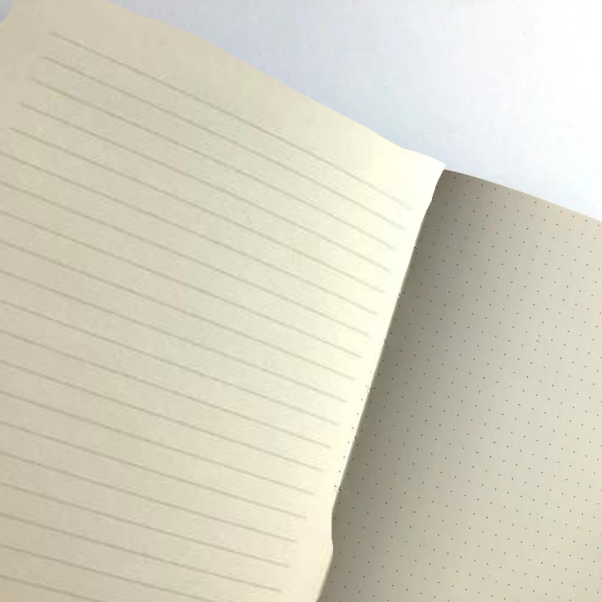Passive-Aggressive Fan Fiction Journal