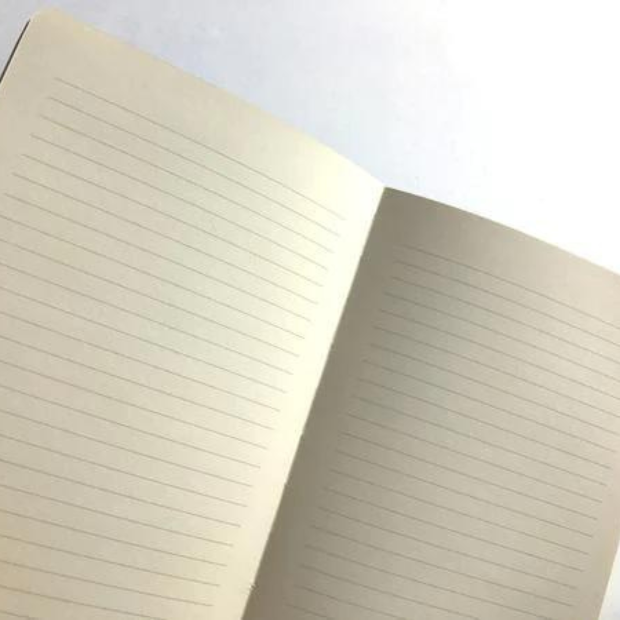 Screenplays About My Cat Journal