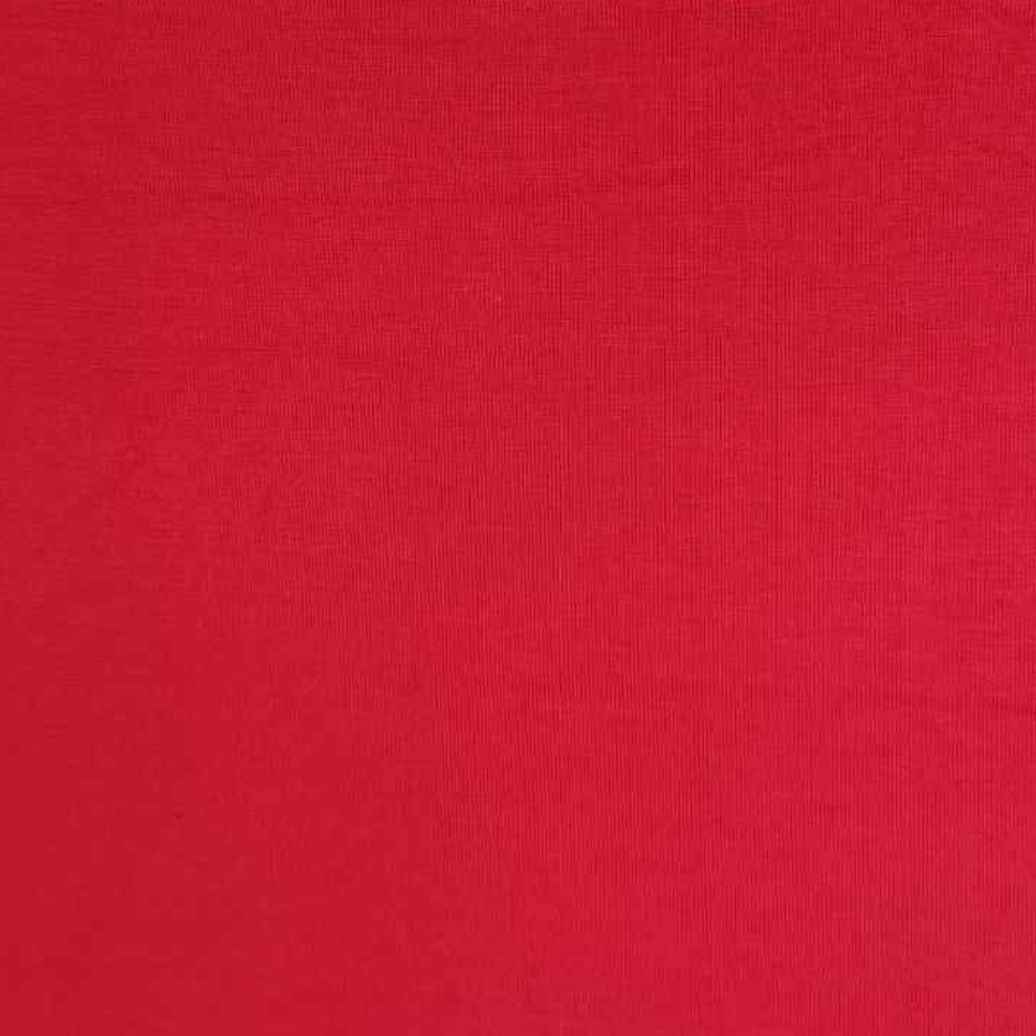Jamie Tee