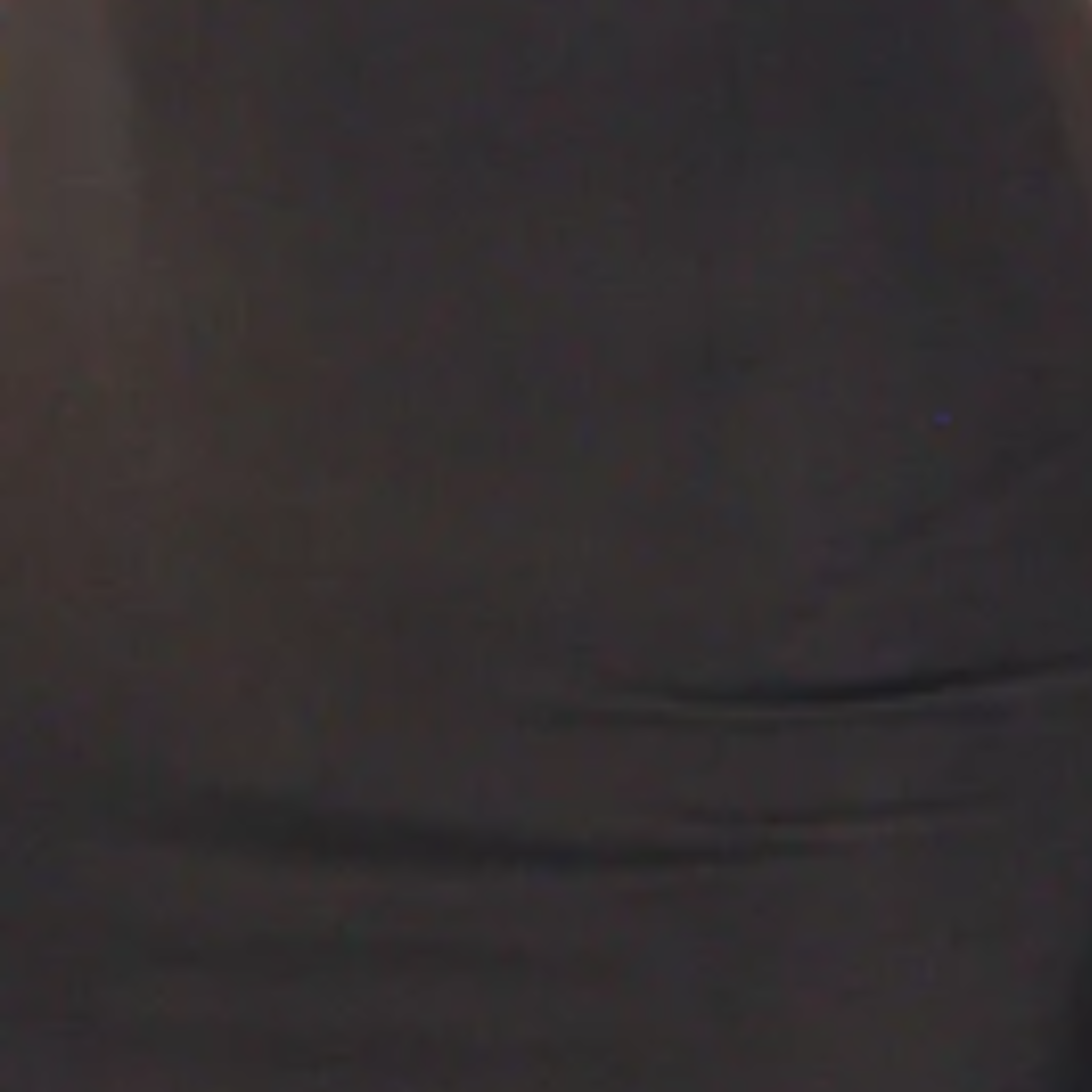 Danielle Skirt