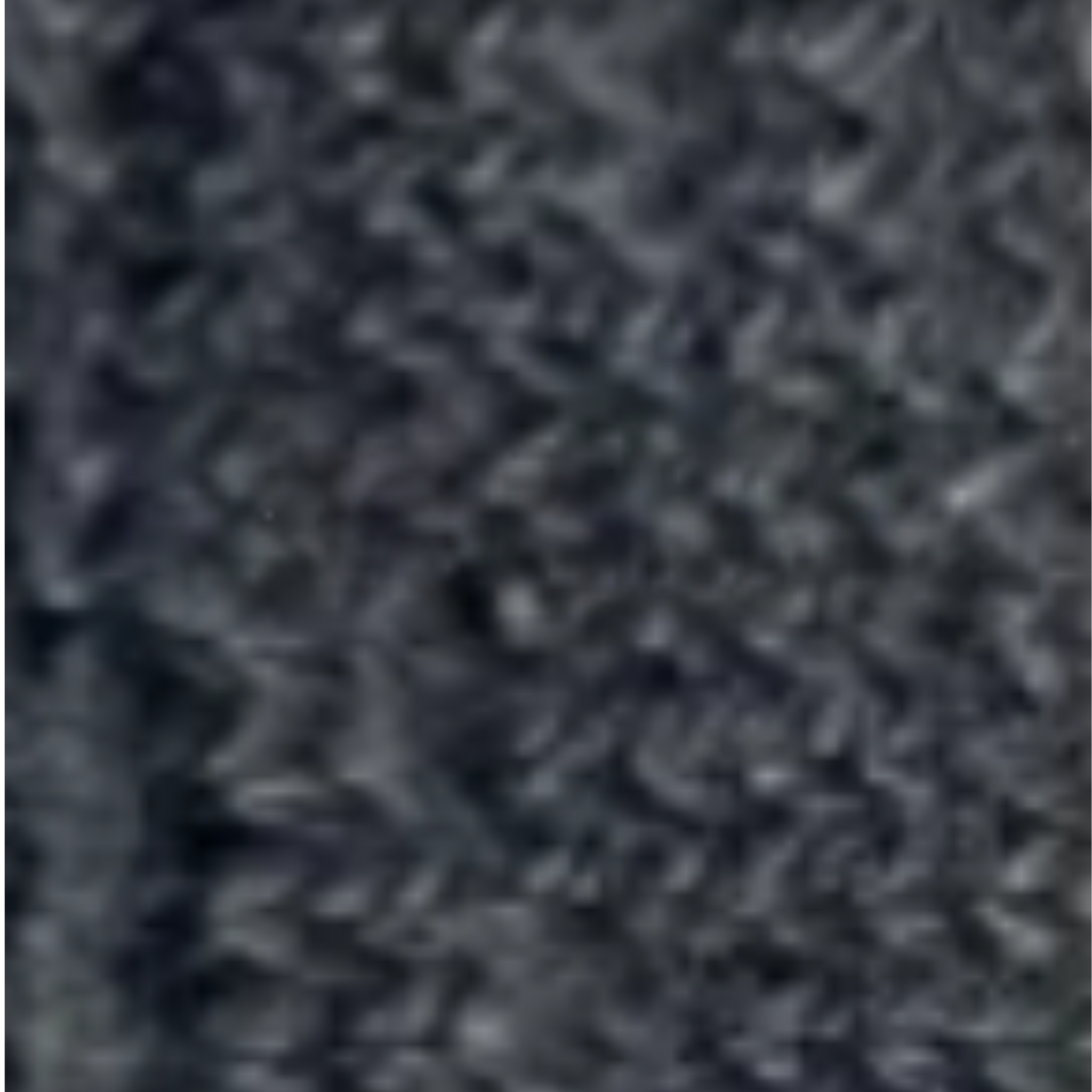 Cotton Pocket Roll-Neck Sweater