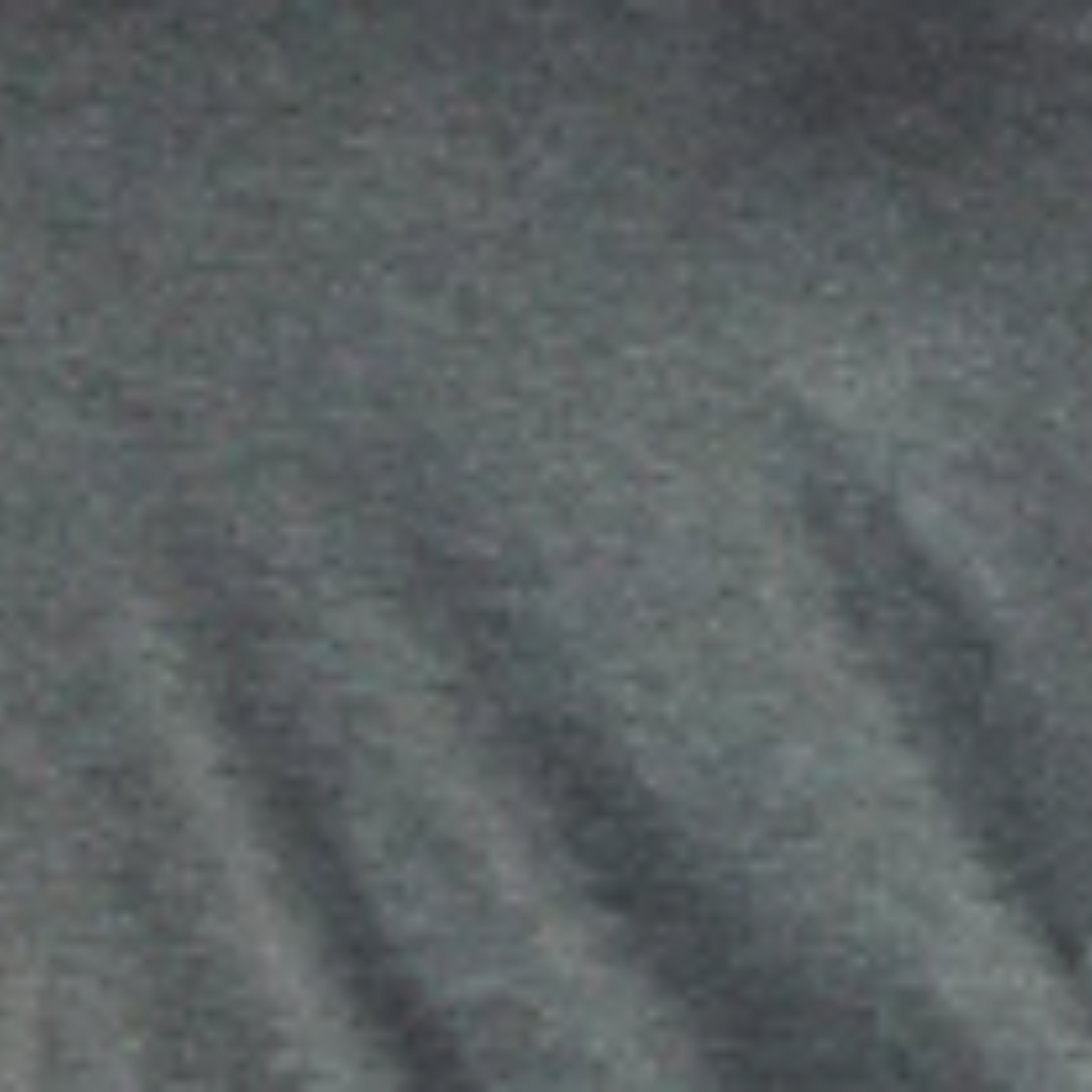 Shelly Shorts