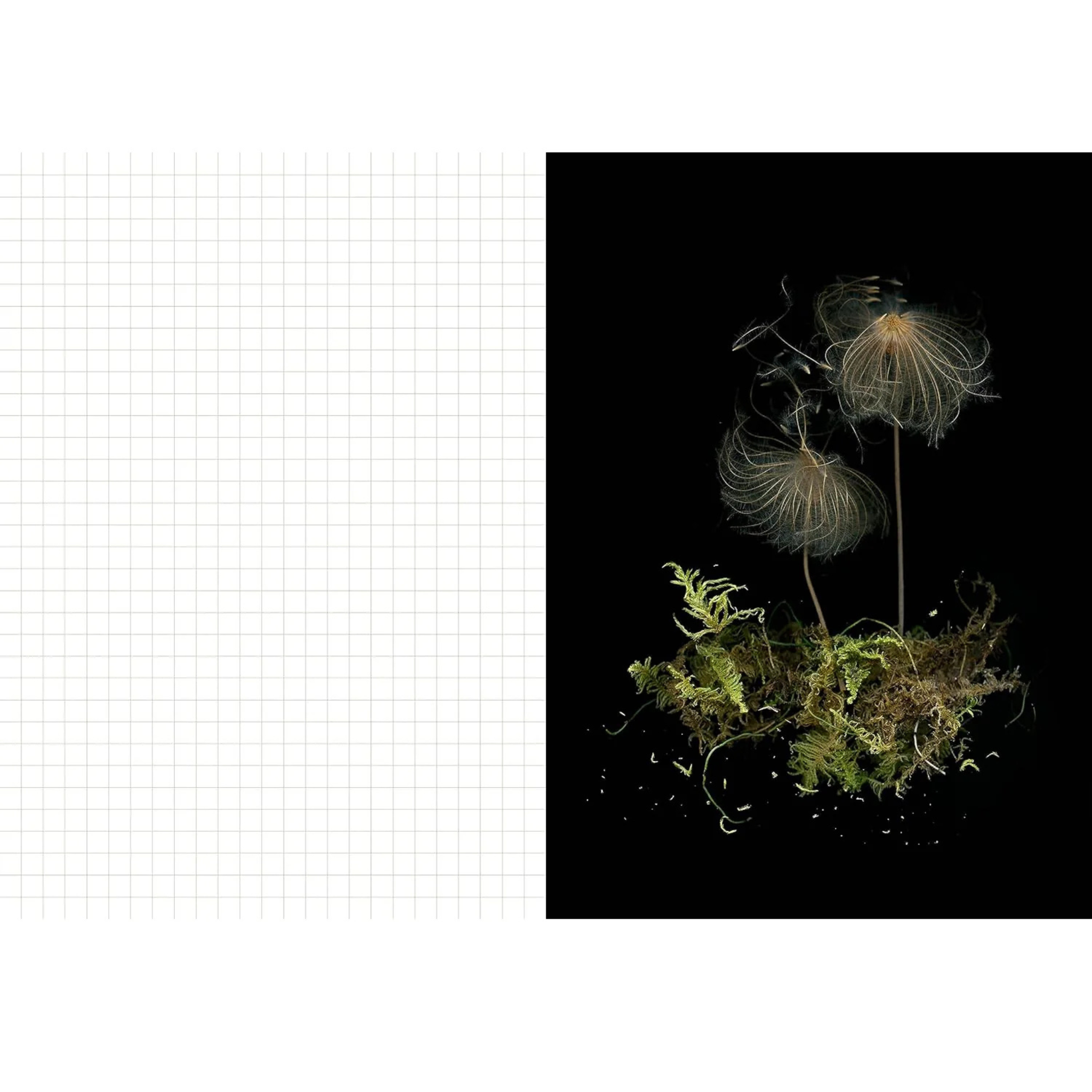 Deep Dark Forest Mushroom Journal