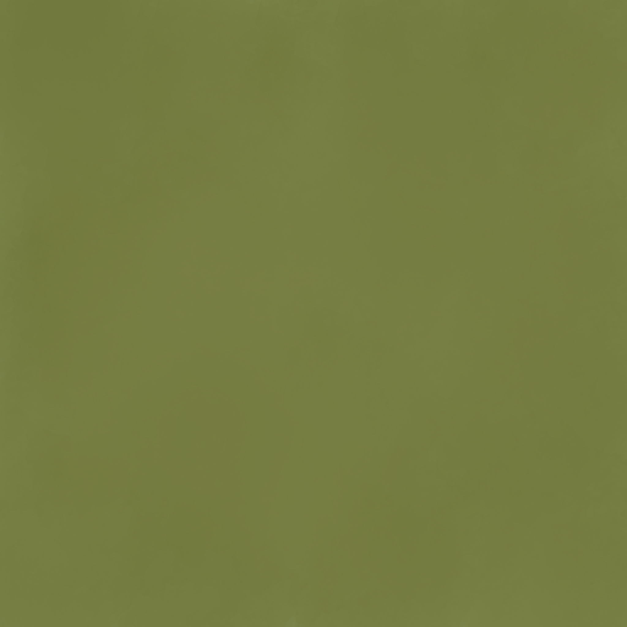 Long Sleeved Layering Top