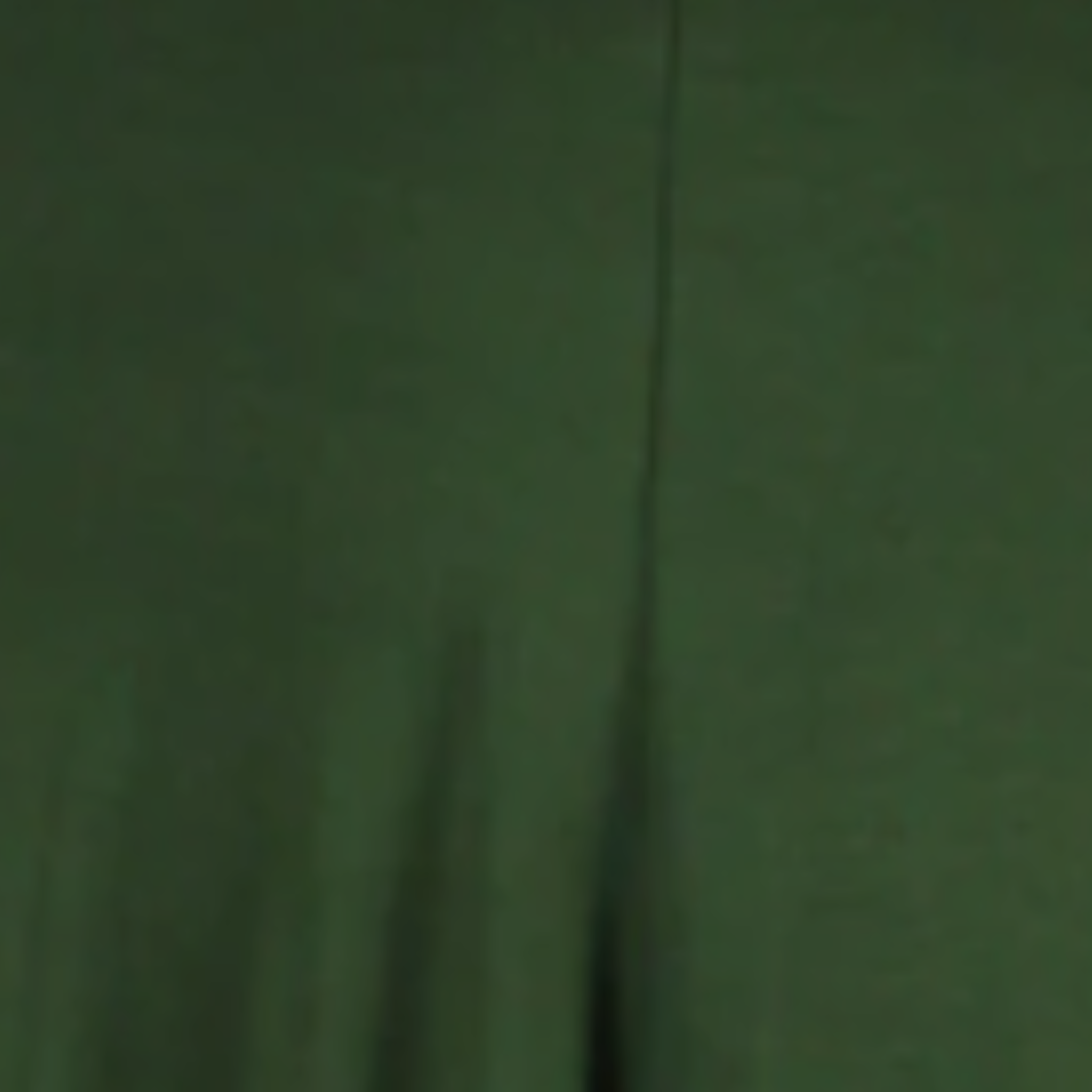 Basic Leggings