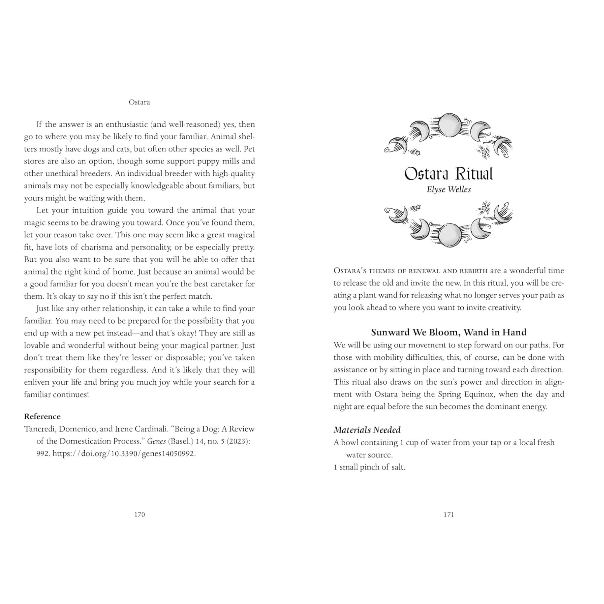 Llewellyn's 2027 Sabbats Almanac