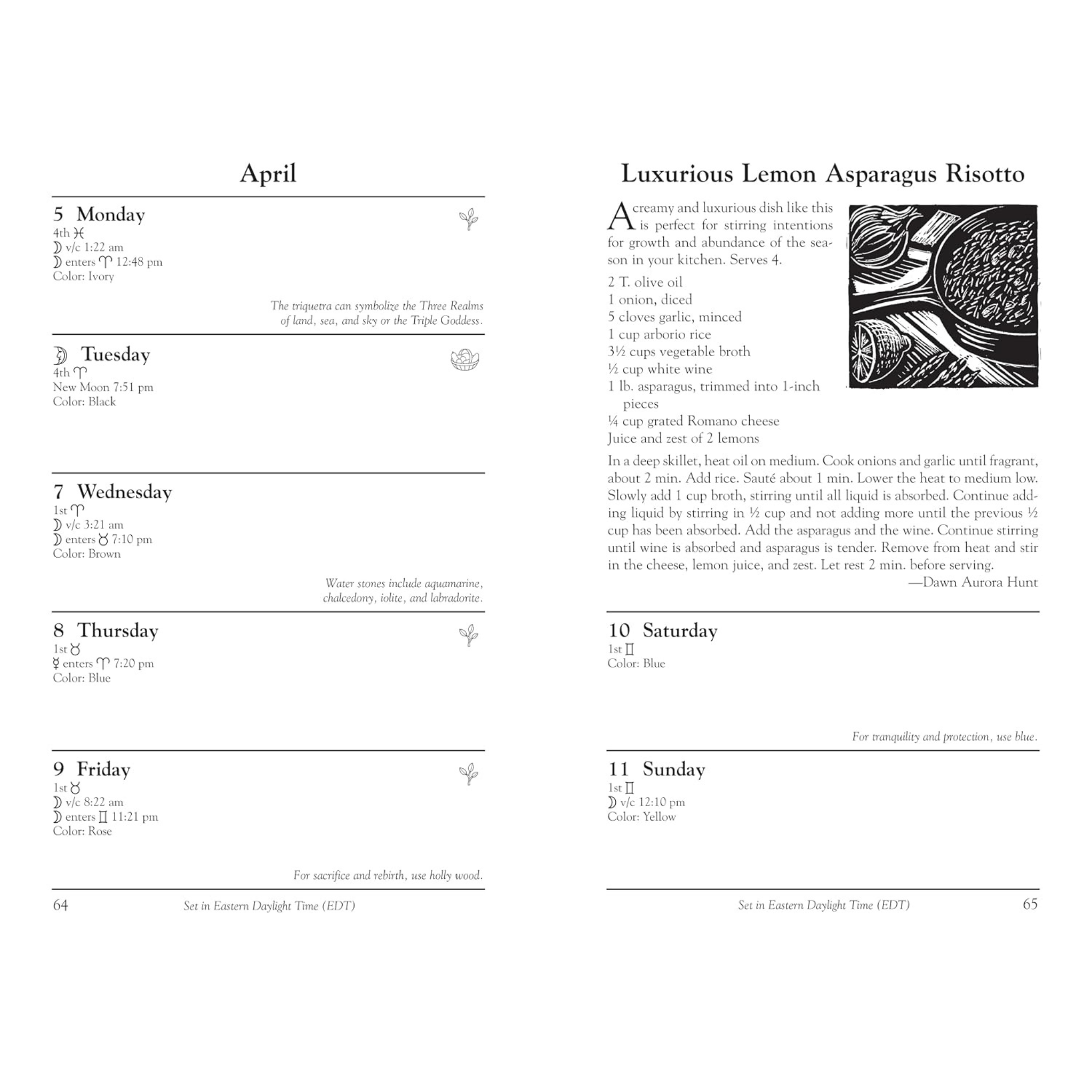 Llewellyn's Witches' Date Book 2027