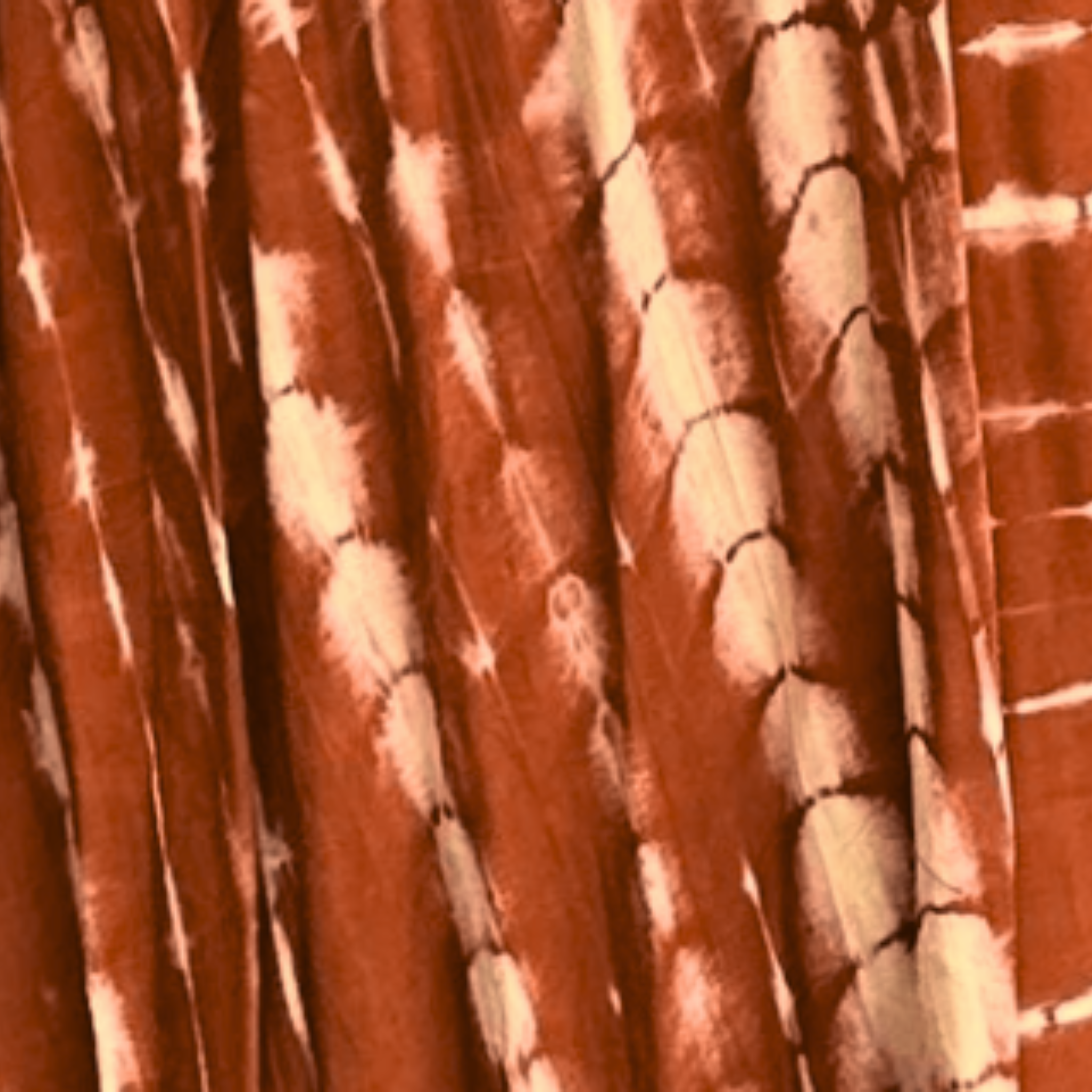 Shibori Chill Pants