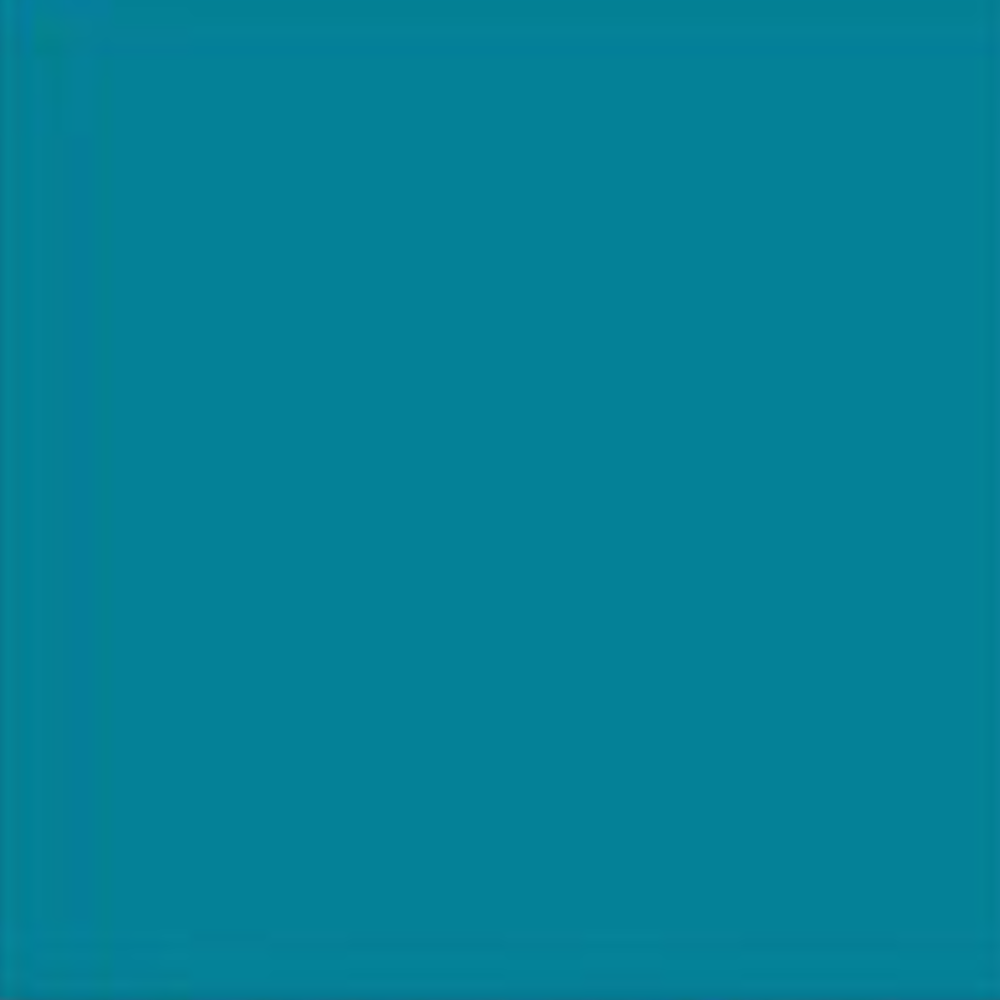 Bamboo Short Sleeve V-Neck Top